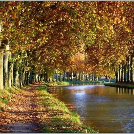 3 6 Couchages, Cuisine Climatisee, Petite Terrasse, Securisee Piscine Commune 400m De La Lrjp50 *